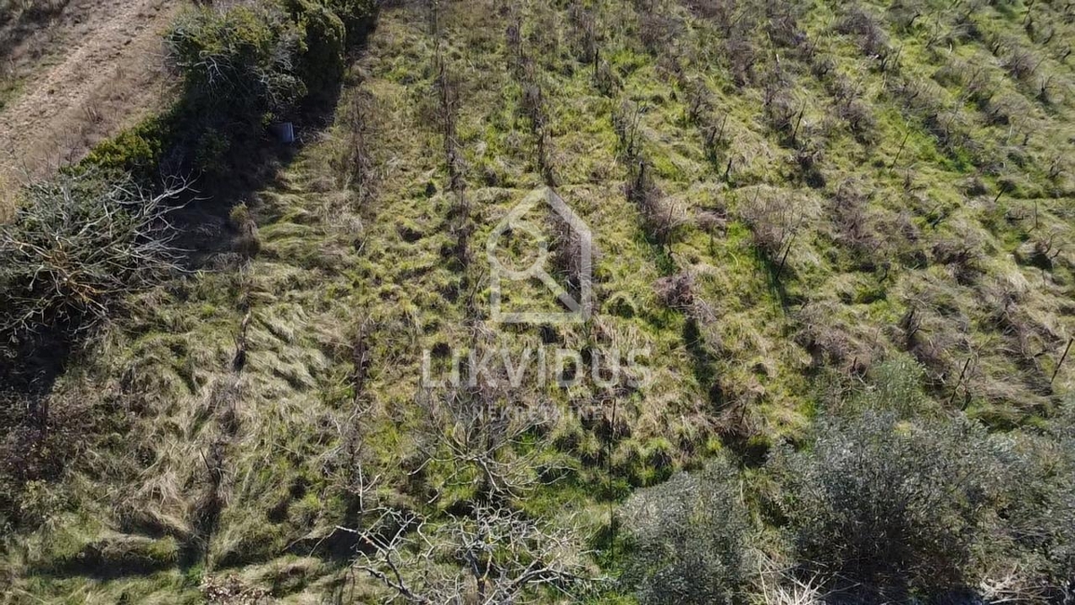 Kmetijsko zemljišče, vinograd, Vodnjan, 1.877 m²