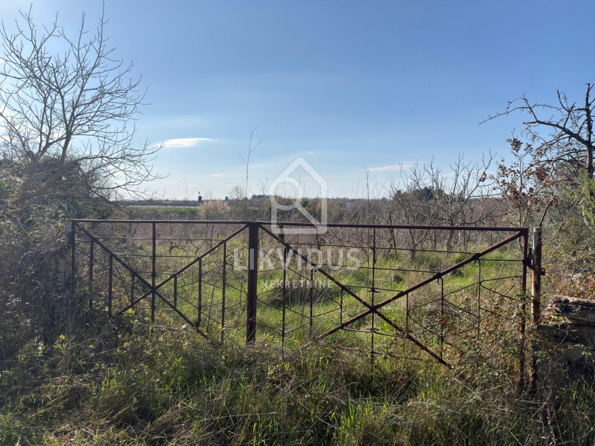 Kmetijsko zemljišče, vinograd, Vodnjan, 1.877 m²