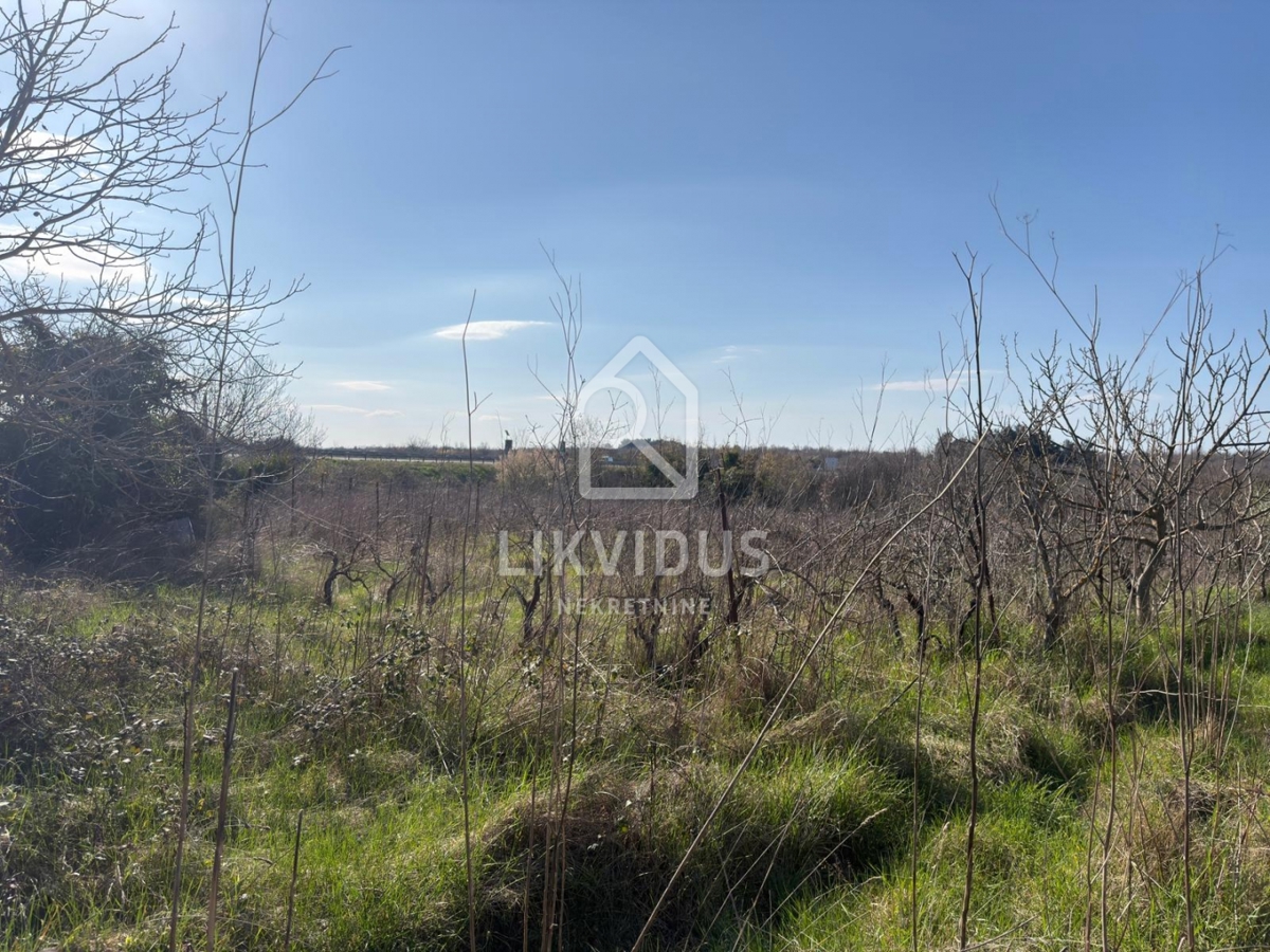 Kmetijsko zemljišče, vinograd, Vodnjan, 1.877 m²