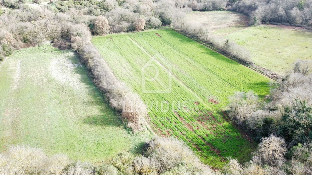 Zemljišče Galižana, Vodnjan, 6.907m2