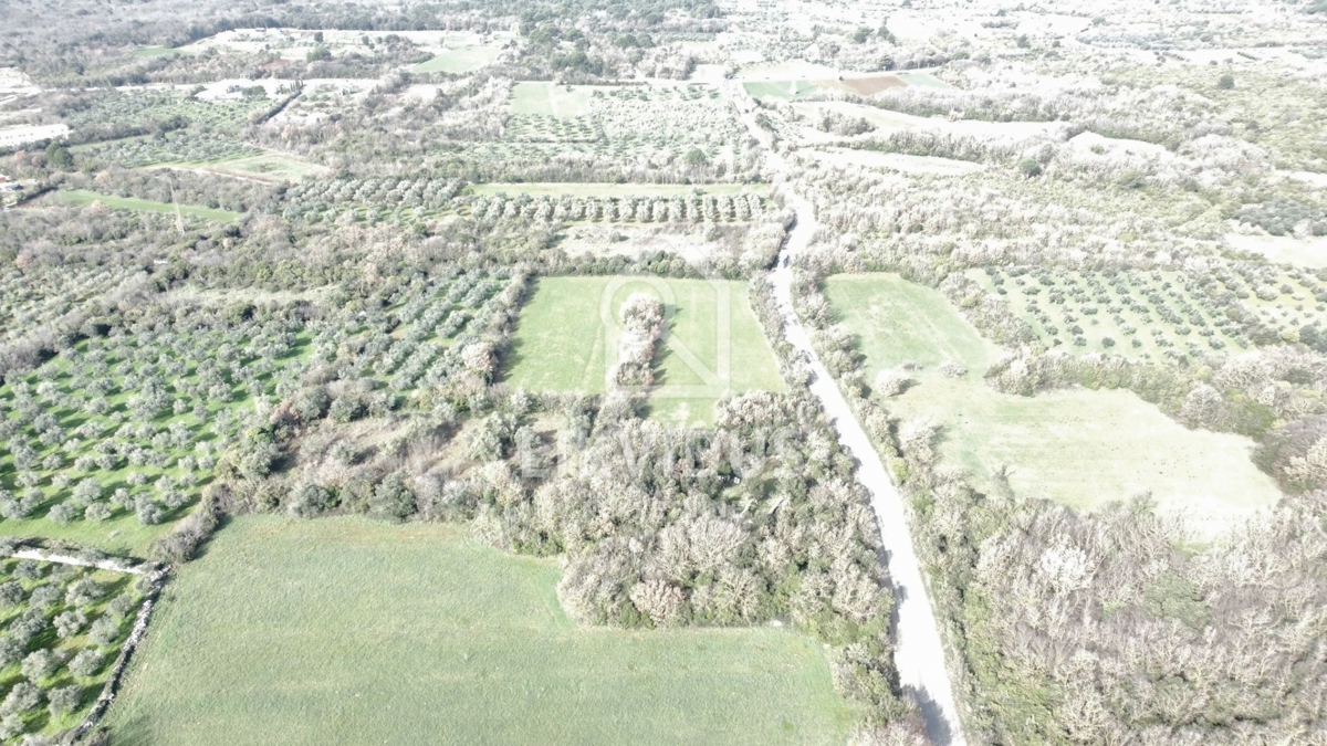 Zemljišče Galižana, Vodnjan, 6.907m2