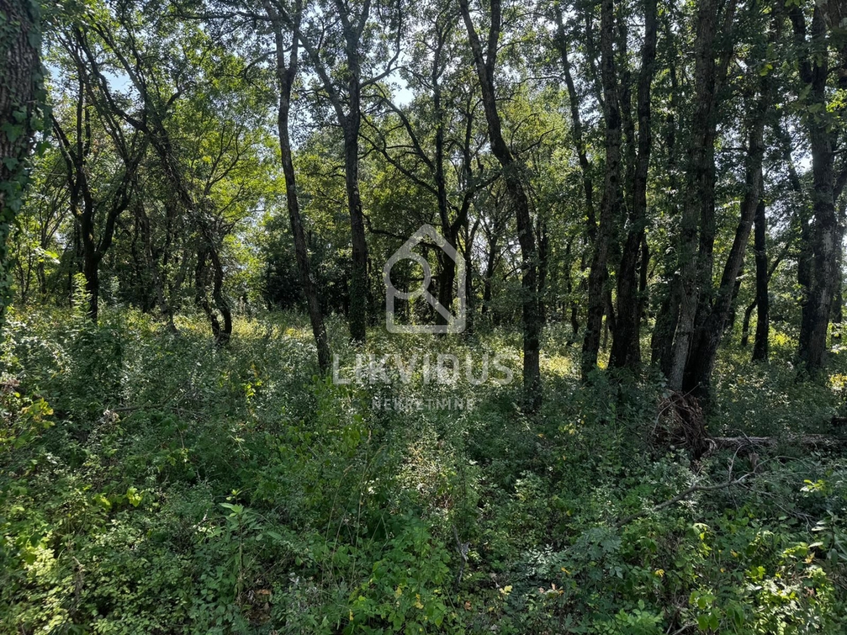 Zemljišče Burići, Kanfanar, 924m2