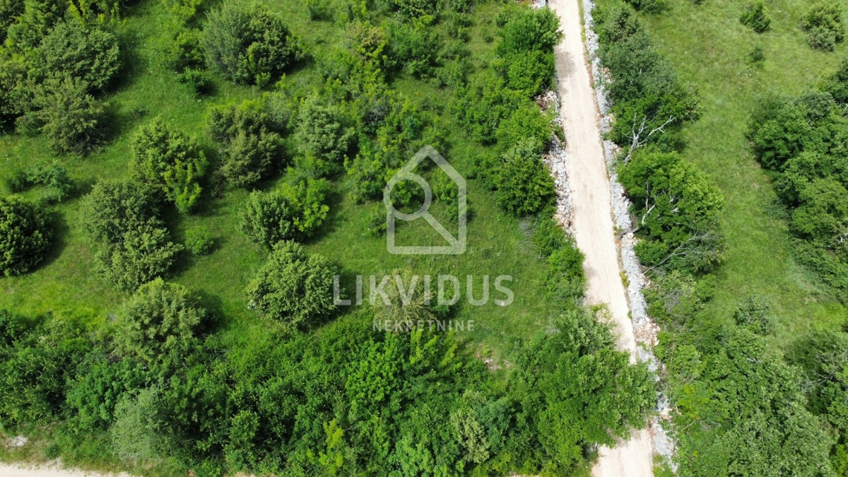 Zemljišče Krmed, Bale, 30.058m2