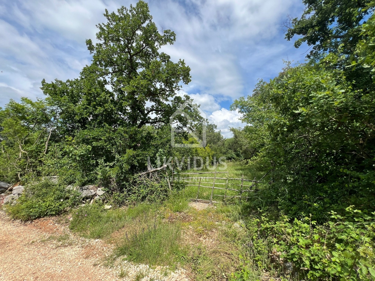 Zemljišče Krmed, Bale, 30.058m2