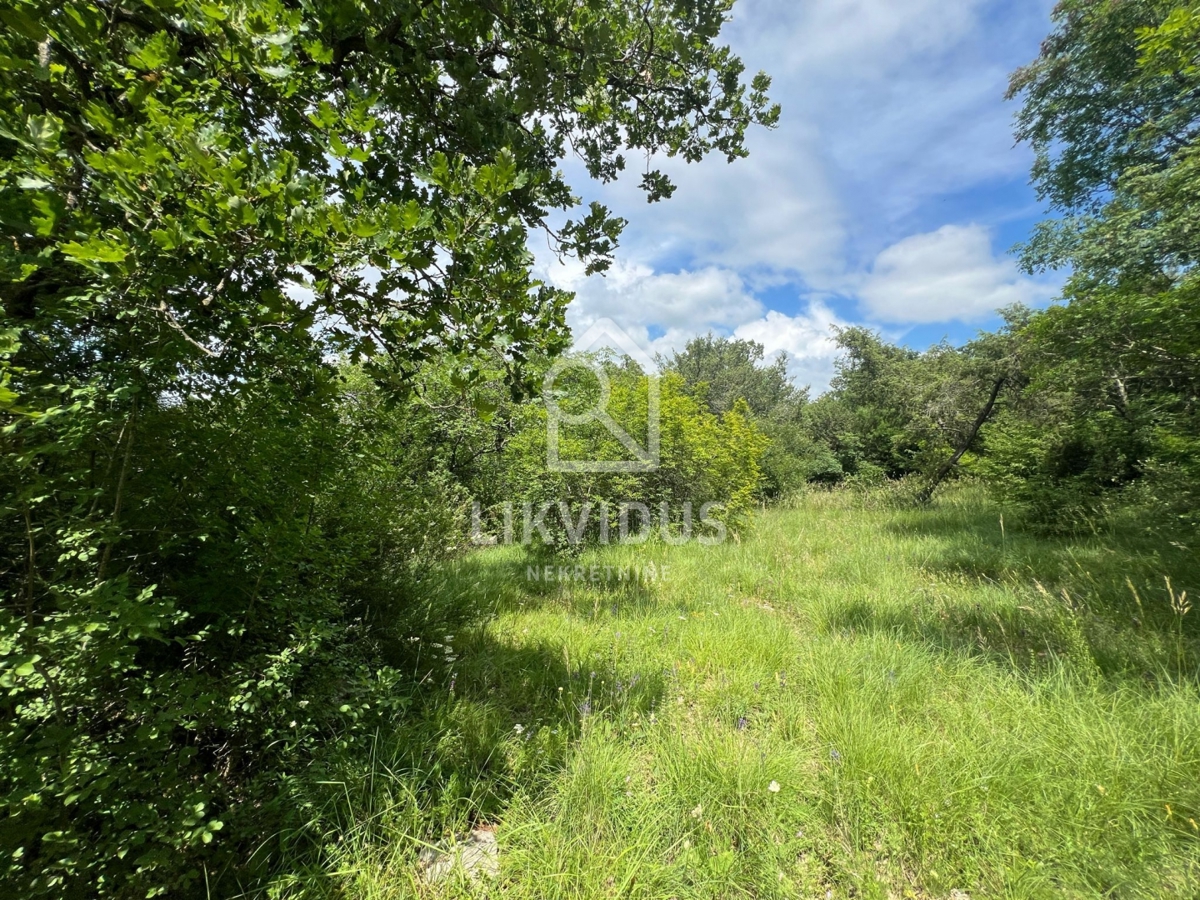 Zemljišče Krmed, Bale, 30.058m2