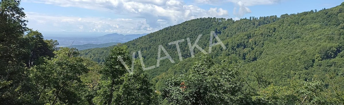 RAZKOŠNA HIŠA Z BAZENOM IN VELIKIM VRTOM – MLINOVI