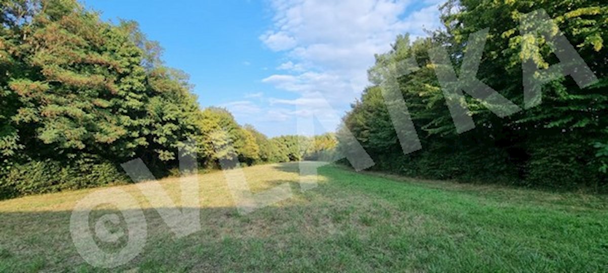ZAZIDLJIVO ZEMLJIŠČE 8158 m2 V BLIZINI NEMŠKE IN FRANCOSKE MEDNARODNE ŠOLE