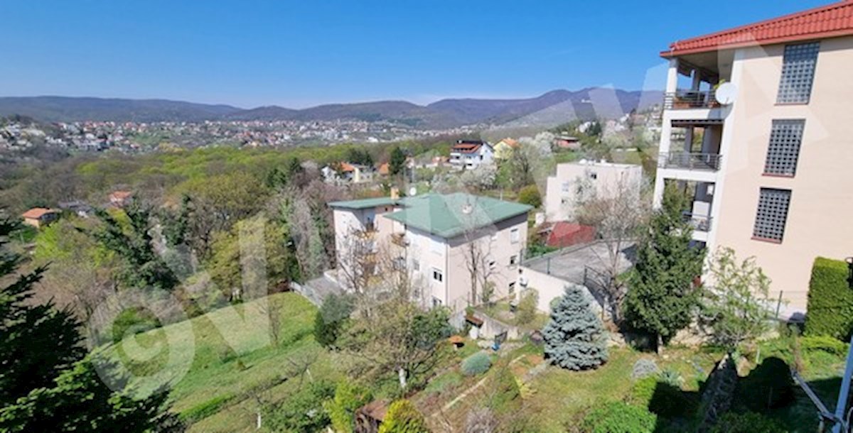 IDILIČEN VRHOVEC: 2 HIŠI Z BAZENOM IN RAZGLEDOM + GRADNJA 3. HIŠE!