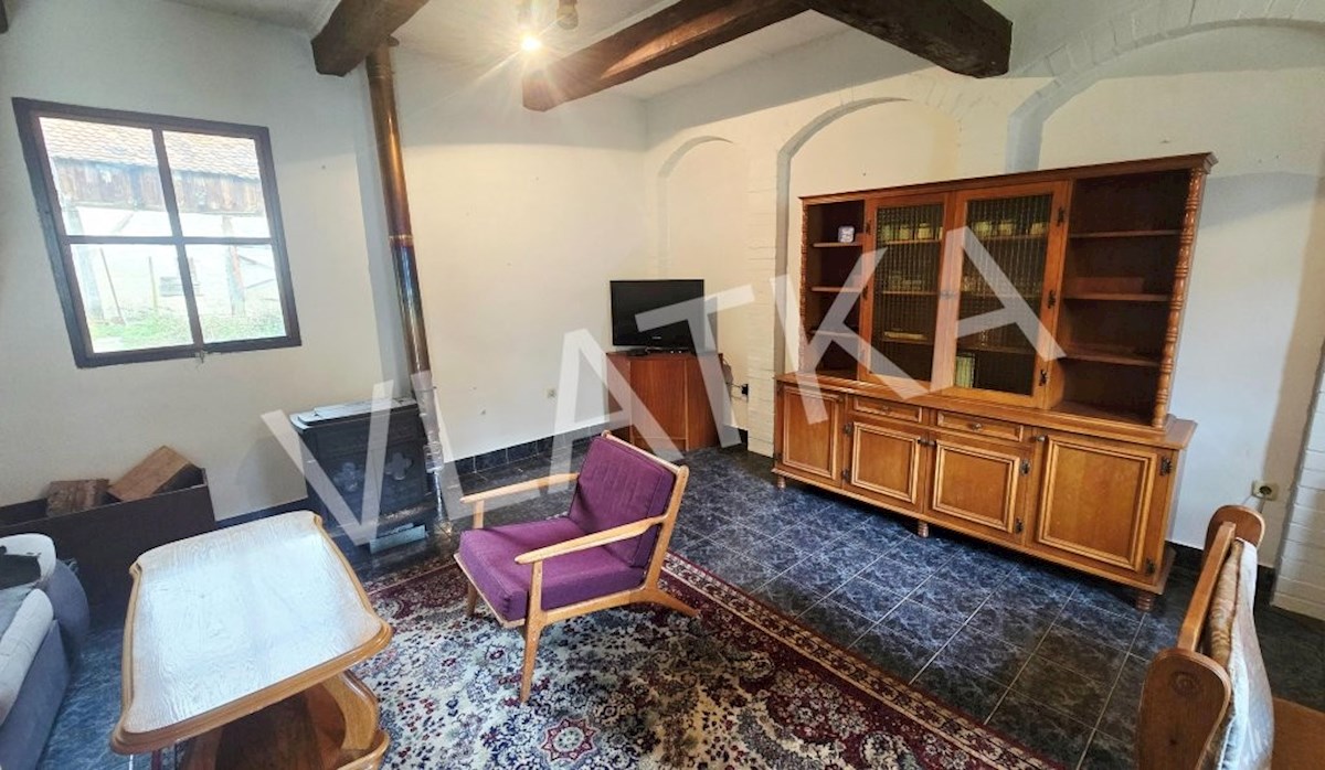 DIH ZGODOVINE NA JASTREBARSKEM