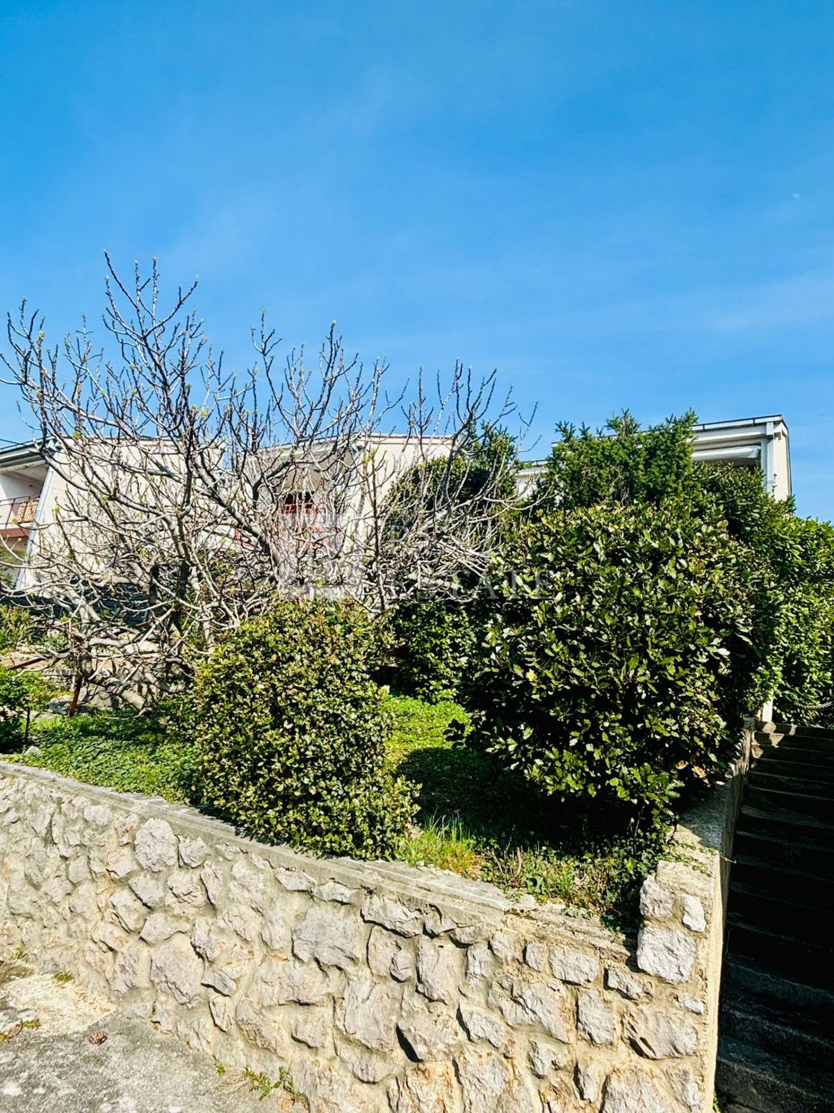 KLENOVICA - stanovanje s prostornim vrtom