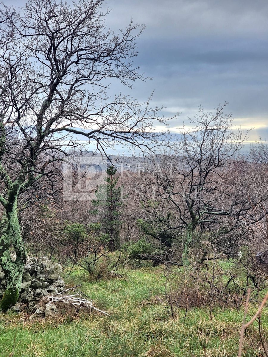 ŠMRIKA - gradbena parcela s pogledom na morje