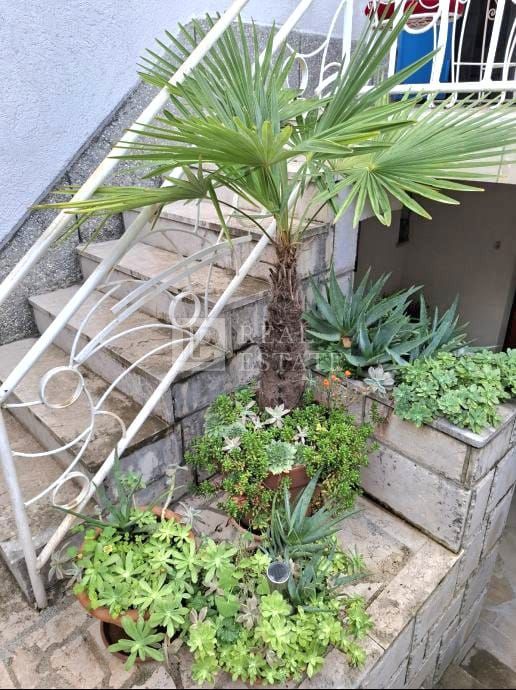 SELCE - hiša z dvema apartmajema v bližini morja