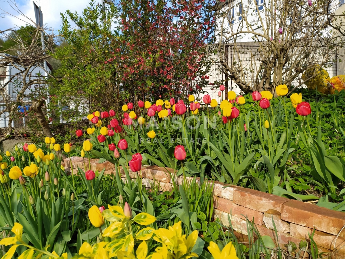 Hiša Sveti Duh, Črnomerec, 250m2