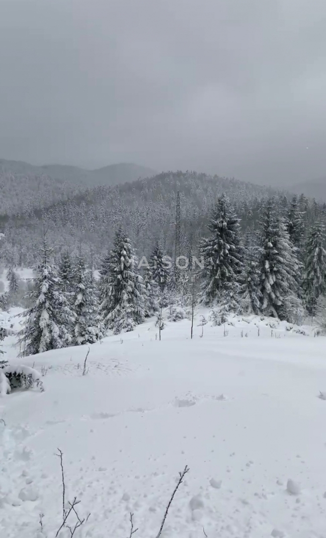 Zemljišče Stari Laz, Ravna Gora, 2.537m2