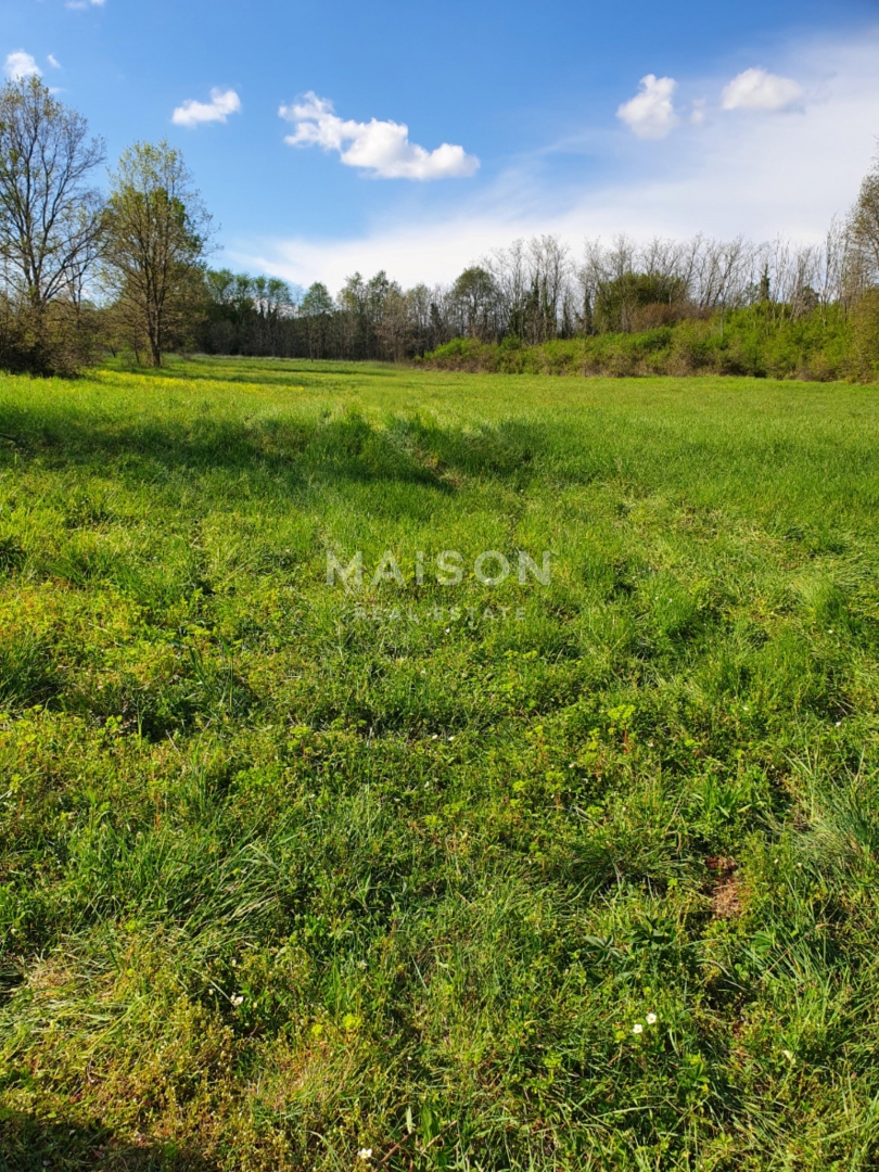 Zemljišče Fiorini, Brtonigla, 4.973m2