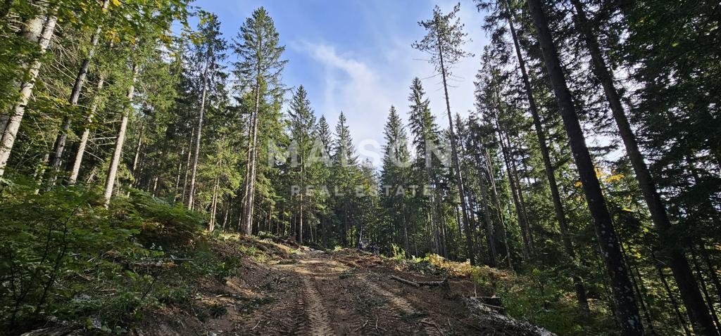 Zemljišče Ravna Gora, 4.991m2