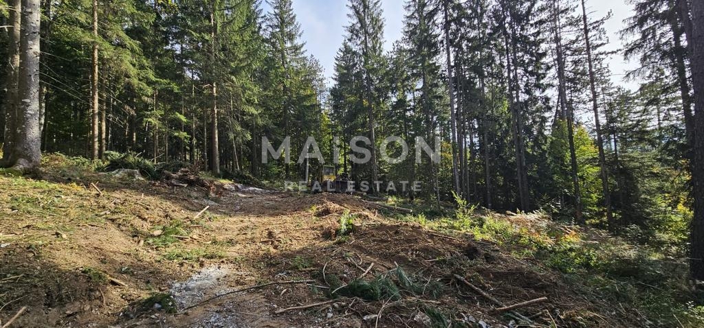 Zemljišče Ravna Gora, 4.991m2