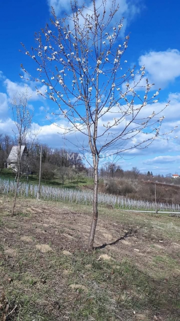 Zemljišče Hrastina, Marija Gorica, 2.884m2