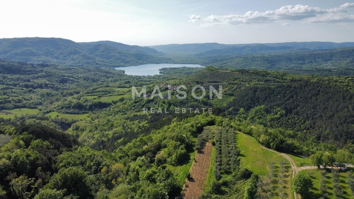 Zemljišče Grimalda, Cerovlje, 1.162m2