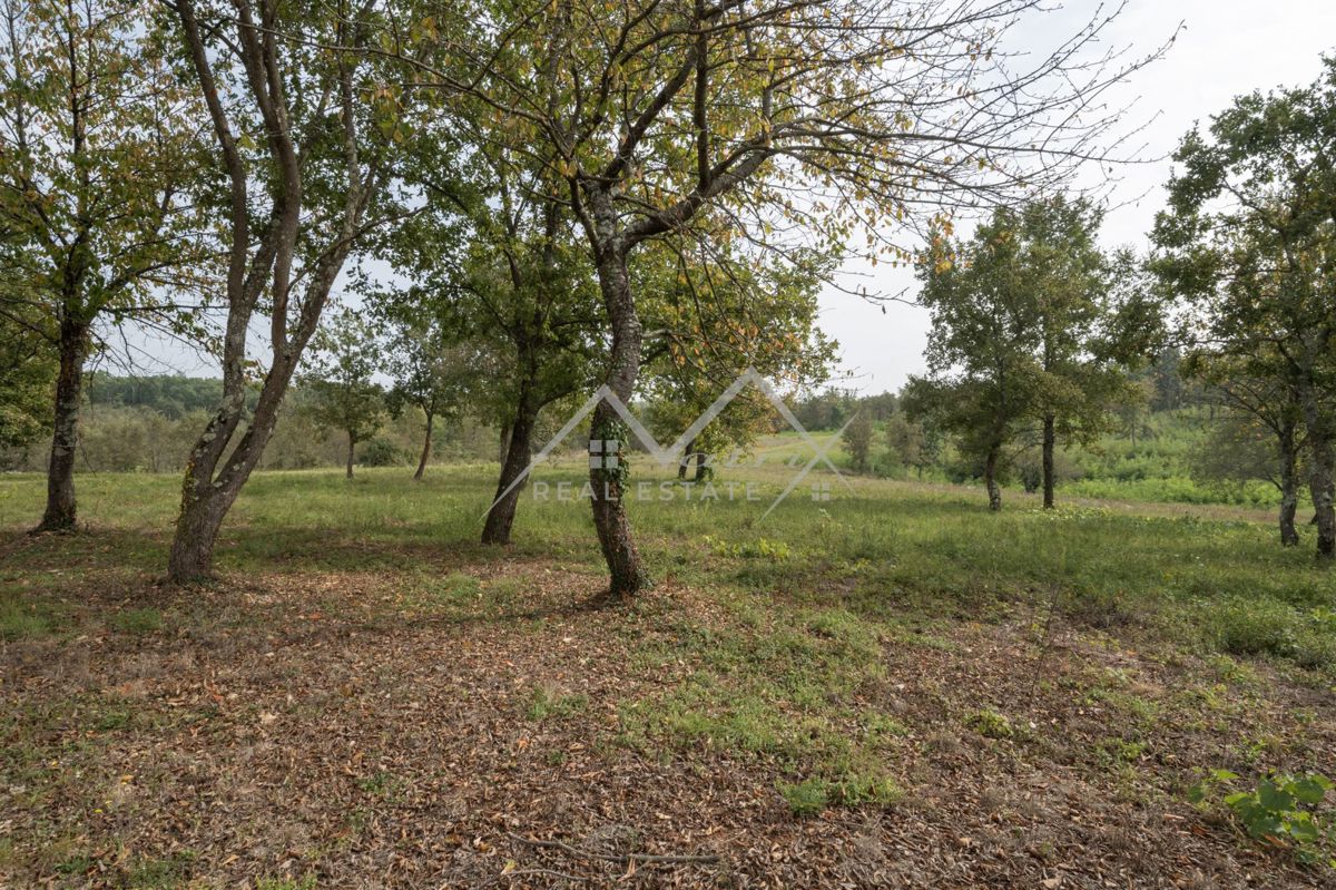 Zemljišče Poreč, 1.265m2