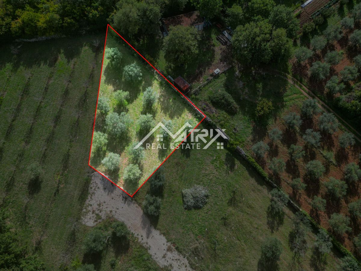 Vodnjanska okolica, zazidljivo zemljišče 643 m², obdano z zelenjem