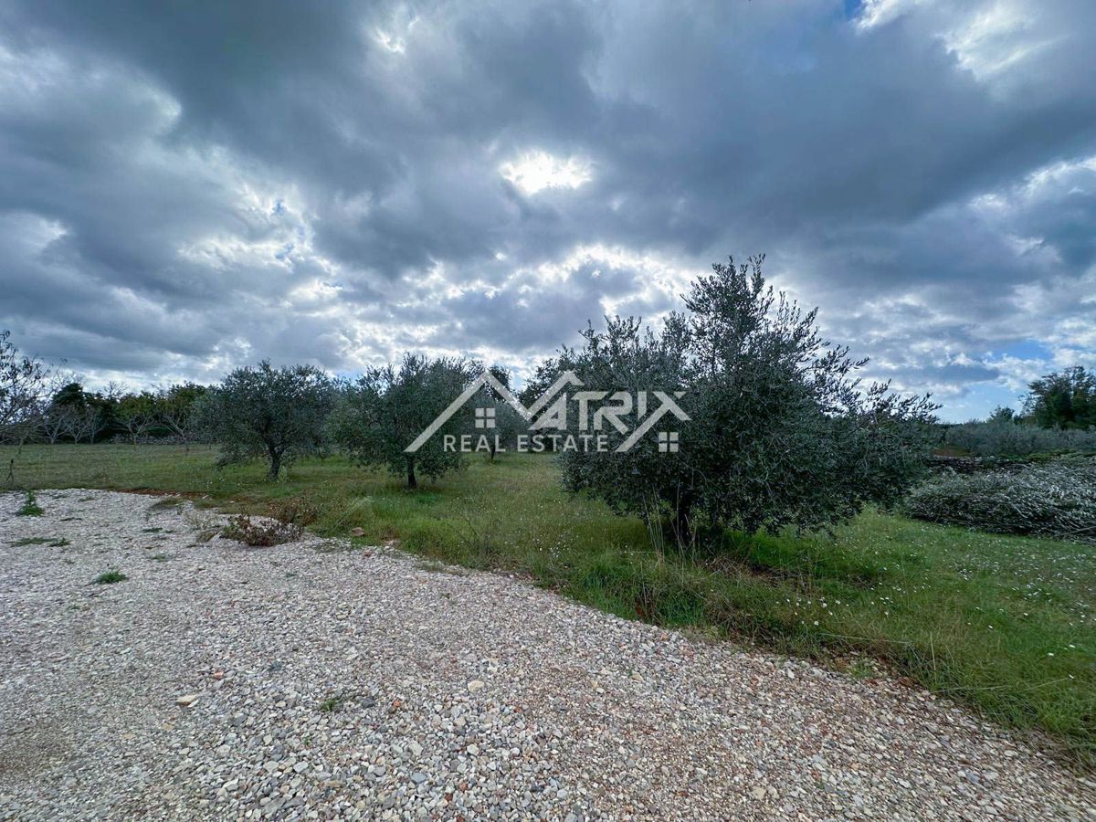 Vodnjanska okolica, zazidljivo zemljišče 643 m², obdano z zelenjem