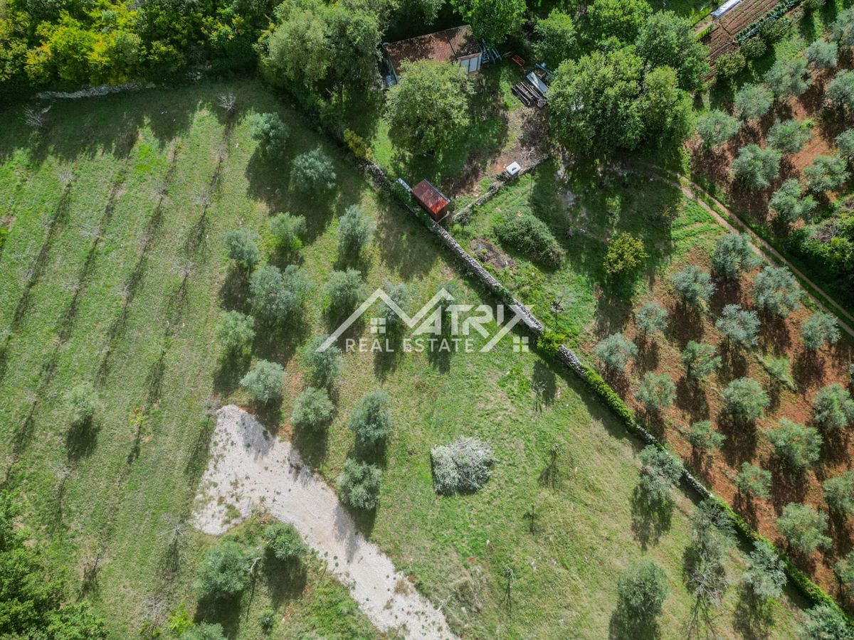 Vodnjanska okolica, zazidljivo zemljišče 643 m², obdano z zelenjem