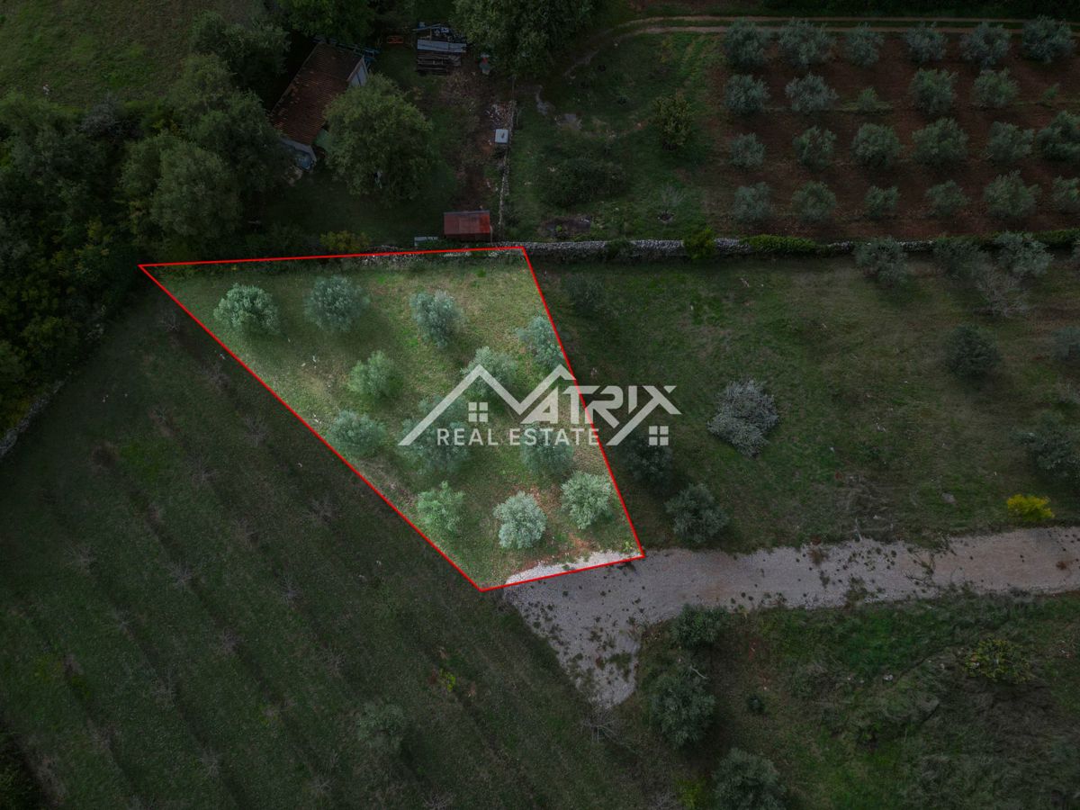 Vodnjanska okolica, zazidljivo zemljišče 643 m², obdano z zelenjem