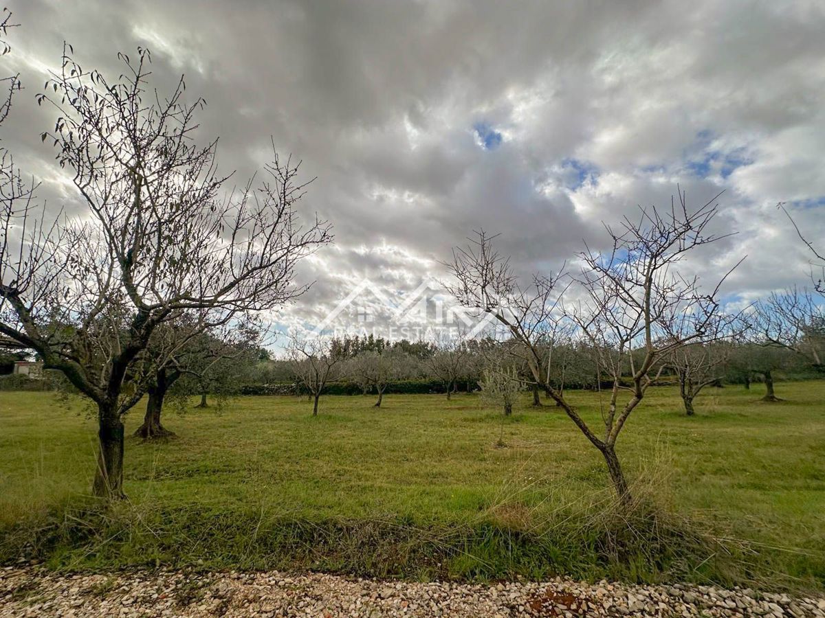 Vodnjanska okolica, zazidljivo zemljišče 643 m², obdano z zelenjem