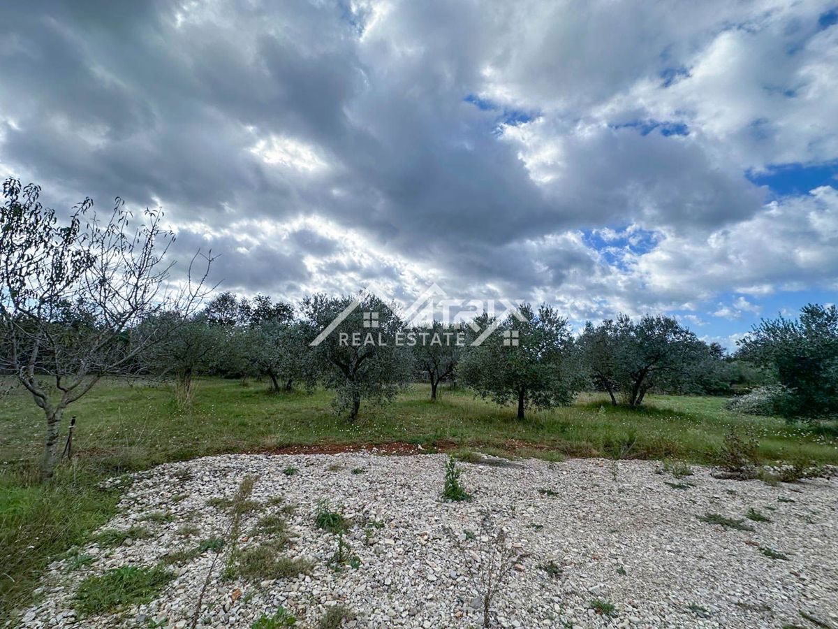 Vodnjanska okolica, zazidljivo zemljišče 643 m², obdano z zelenjem