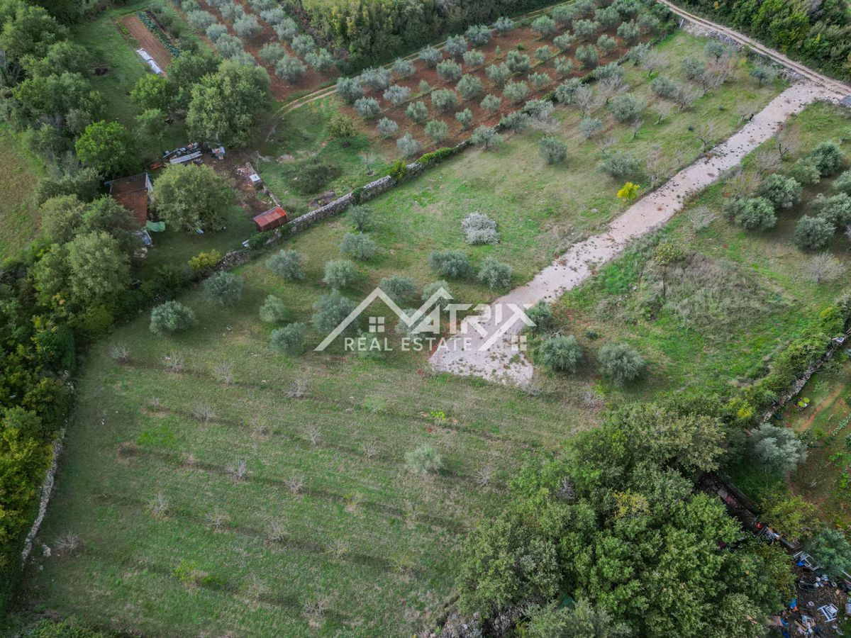 Vodnjanska okolica, zazidljivo zemljišče 643 m², obdano z zelenjem