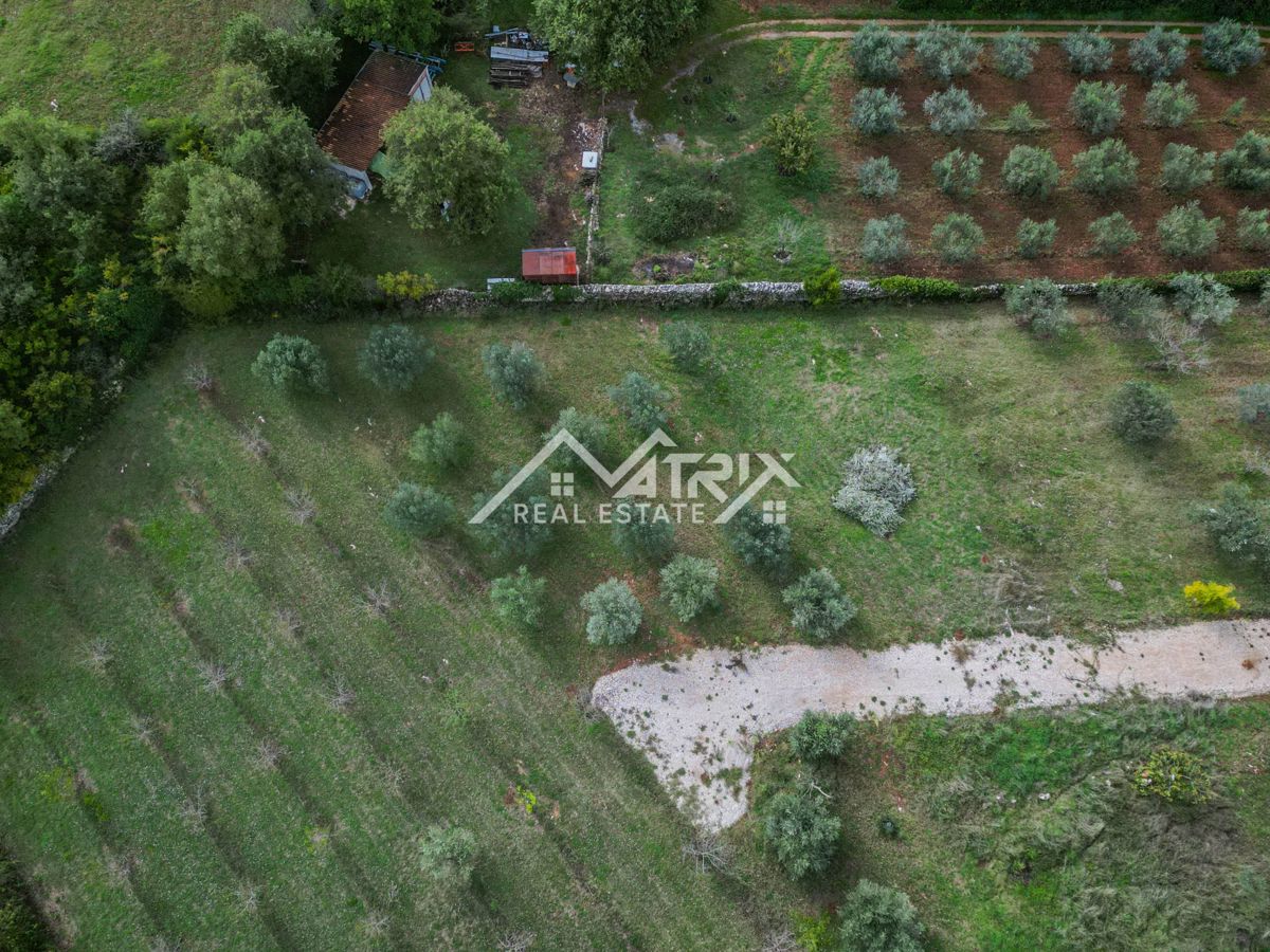 Vodnjanska okolica, zazidljivo zemljišče 643 m², obdano z zelenjem