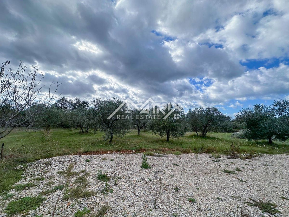 Vodnjanska okolica, zazidljivo zemljišče 643 m², obdano z zelenjem