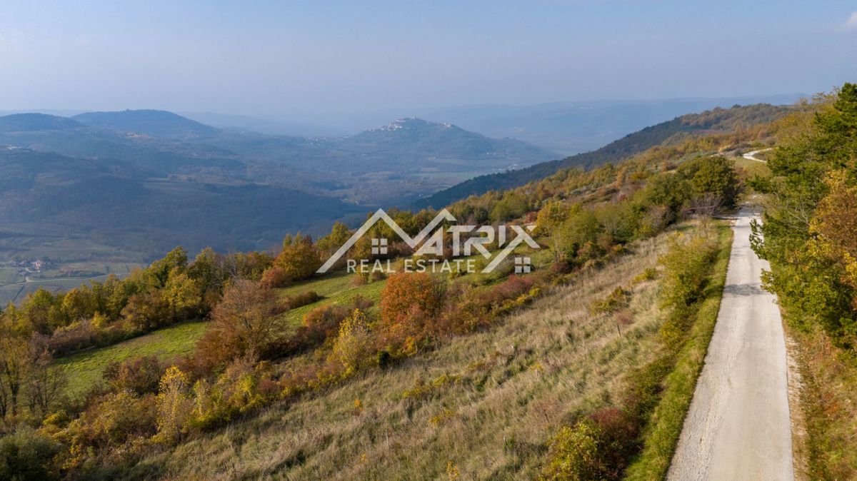 Motovun okolica, atraktivno zemljišče s panoramskim razgledom