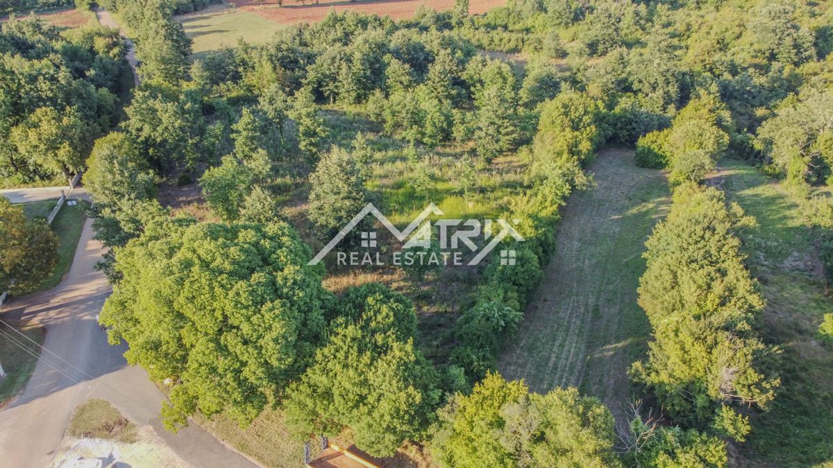 Barban okolica, zazidljivo zemljišče v mirni vasi