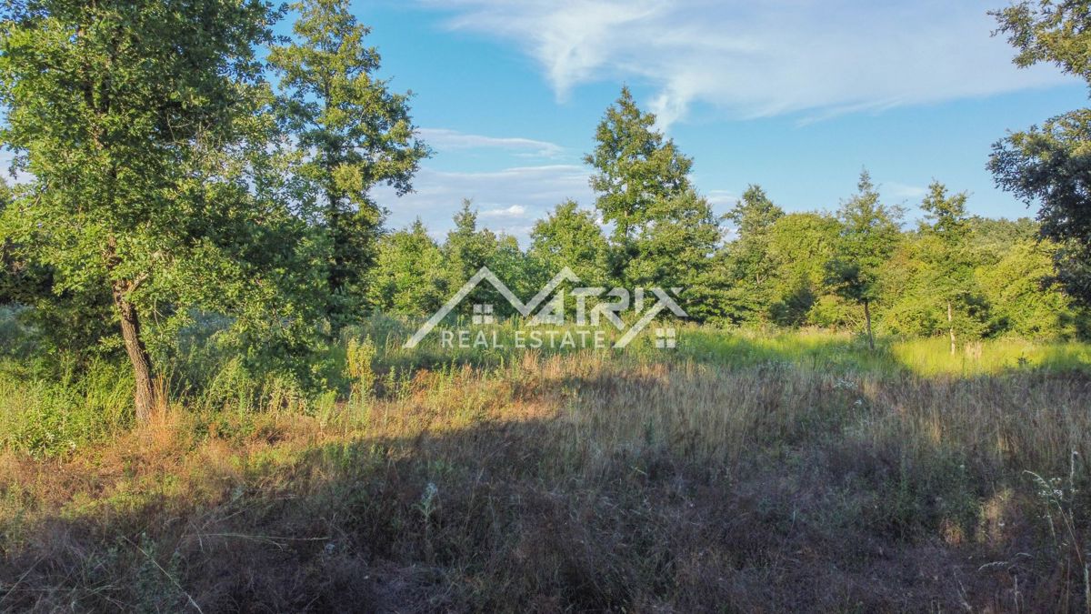 Barban okolica, zazidljivo zemljišče v mirni vasi