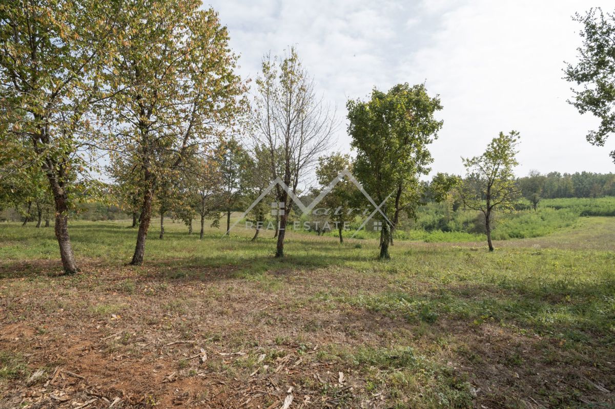 Zemljišče Poreč, 1.215m2