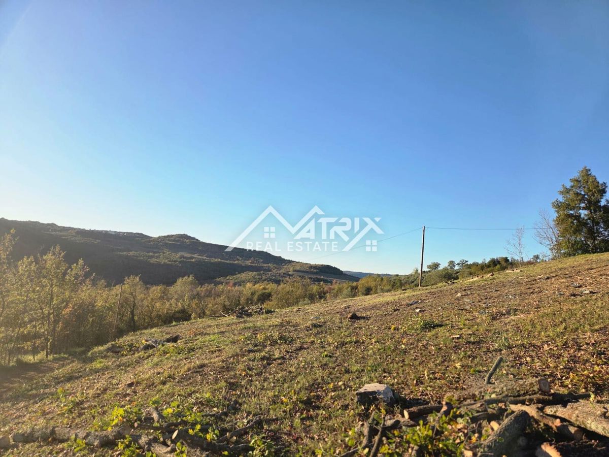 Motovunsko okolje, zazidljivo zemljišče s projektom