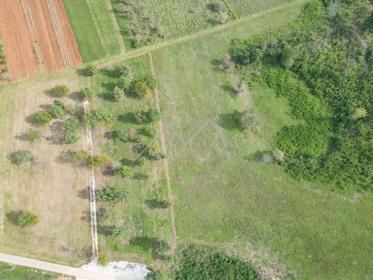 Zemljišče Poreč, 1.219m2