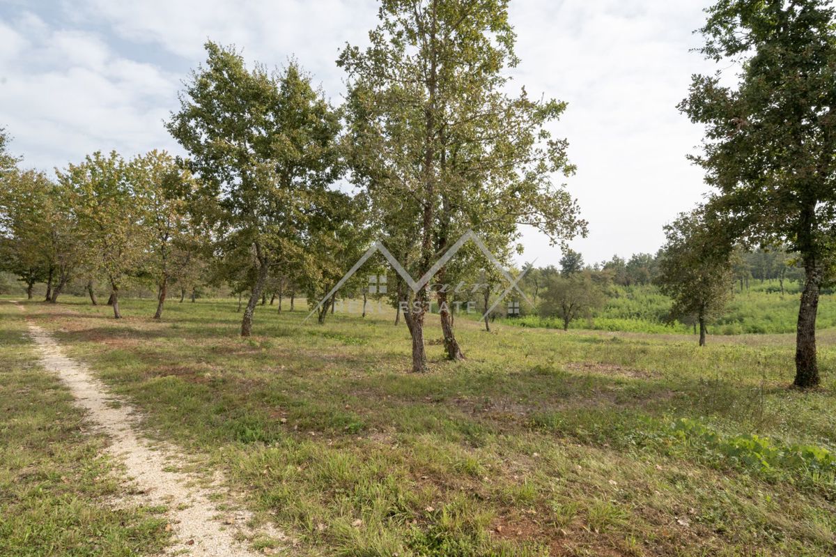 Zemljišče Poreč, 1.219m2