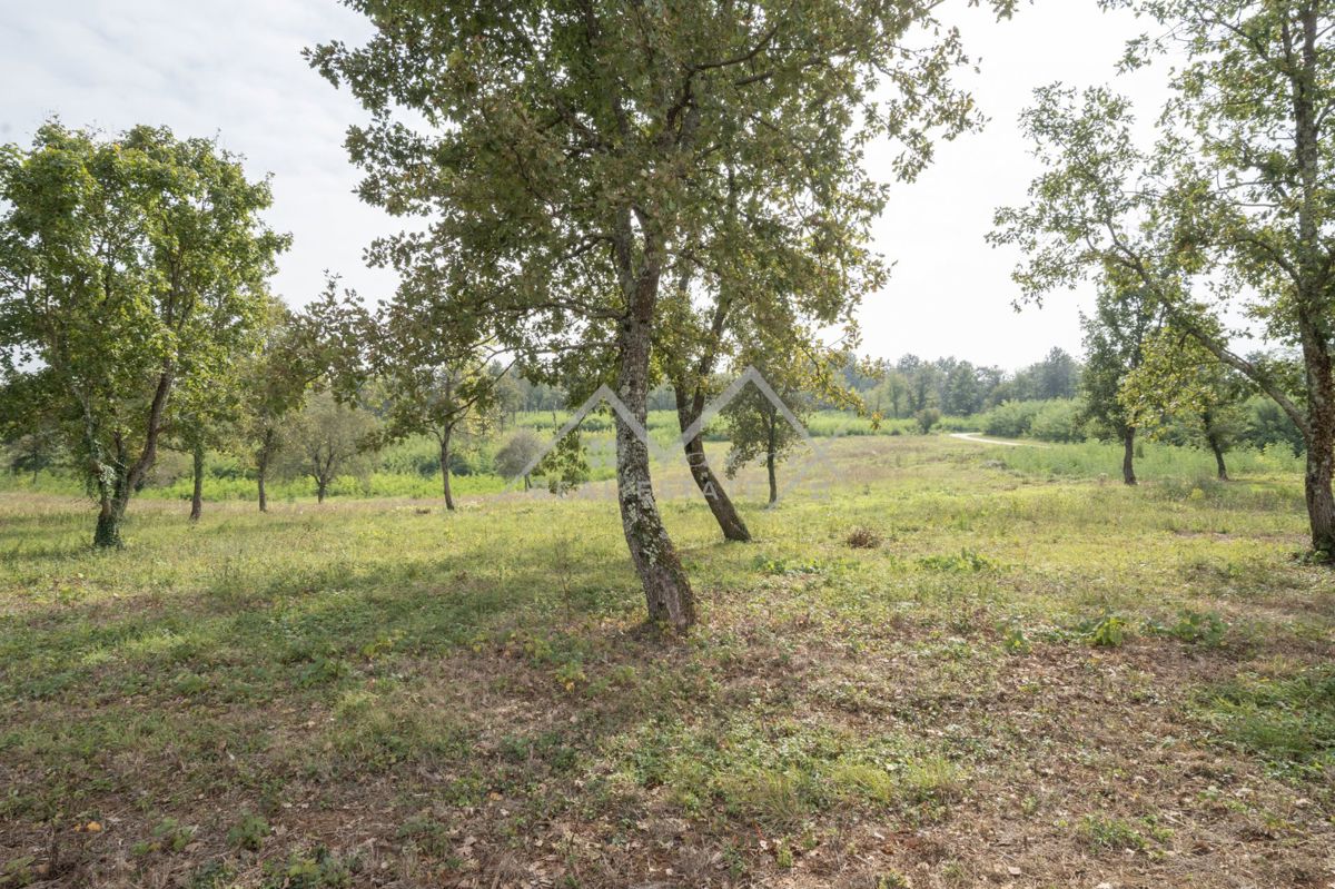 Zemljišče Poreč, 1.219m2