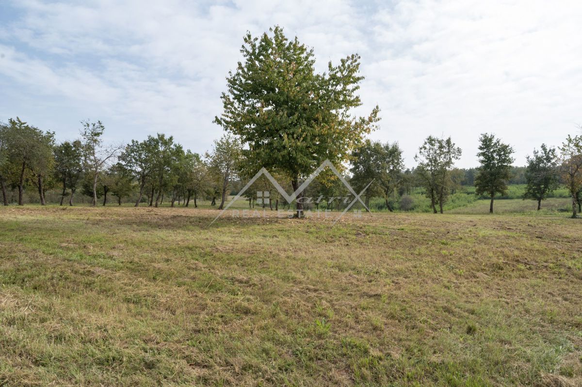 Zemljišče Poreč, 8.289m2