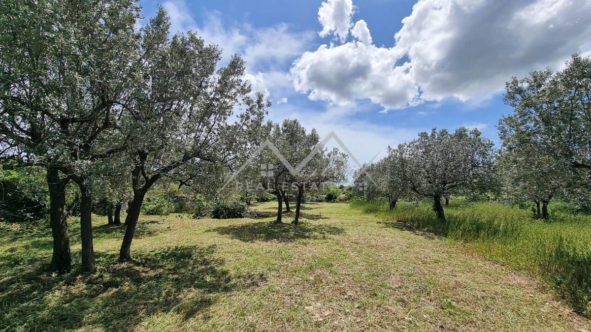 Območje Pulja, zazidljivo zemljišče s pogledom na morje