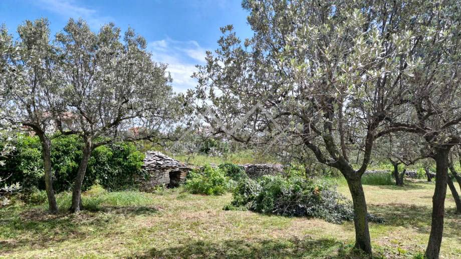 Območje Pulja, zazidljivo zemljišče s pogledom na morje