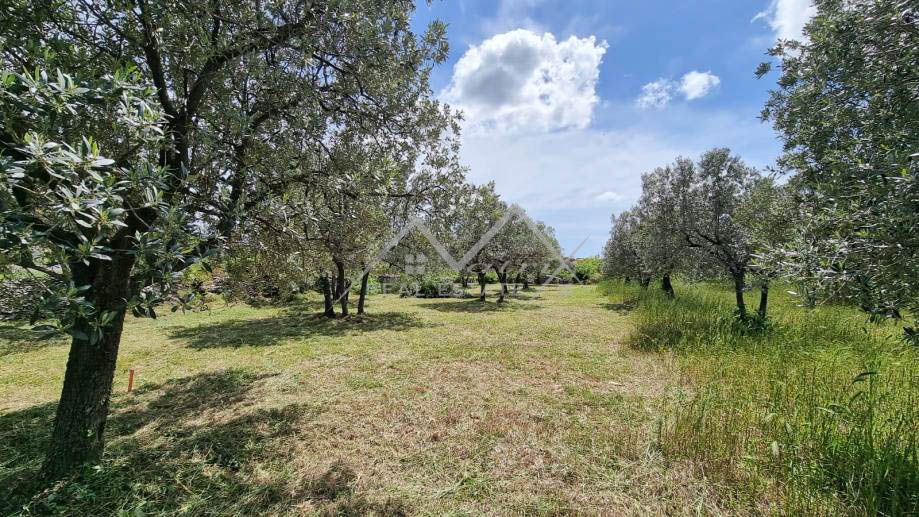 Območje Pulja, zazidljivo zemljišče s pogledom na morje