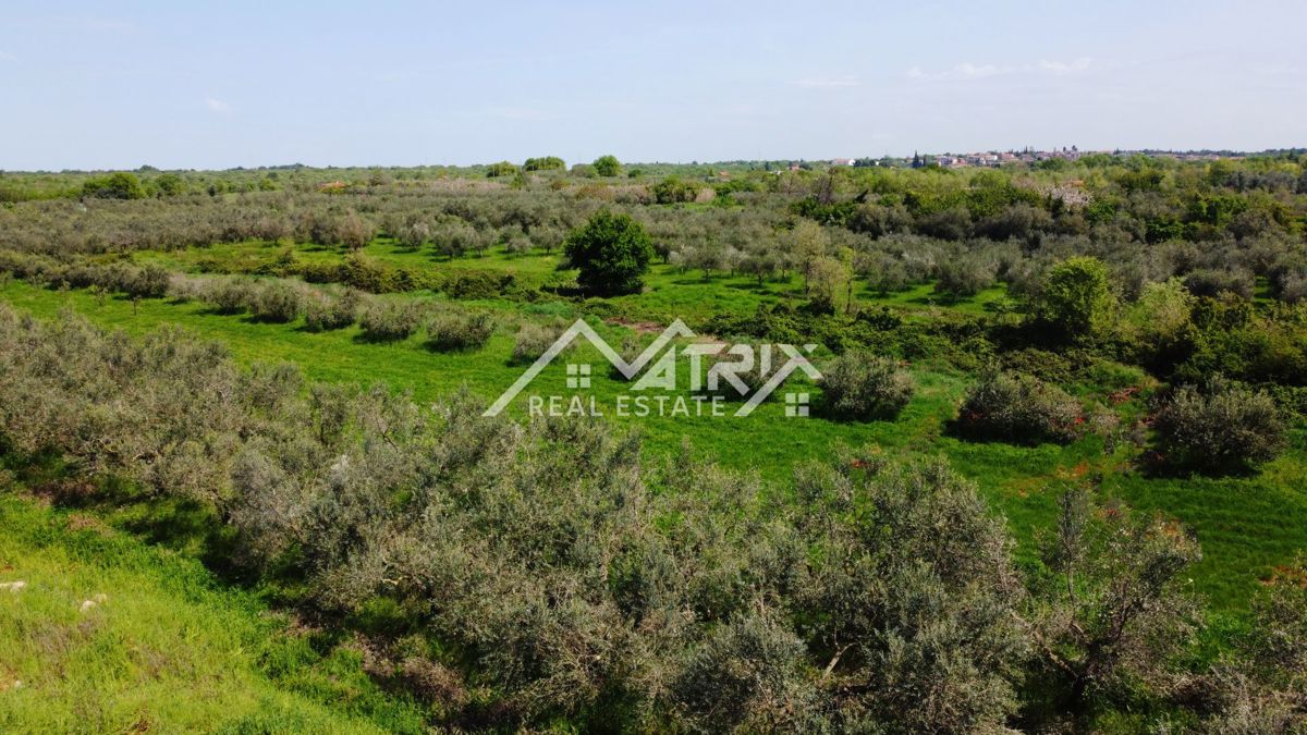 Umag, zazidljivo zemljišče na atraktivni lokaciji blizu morja