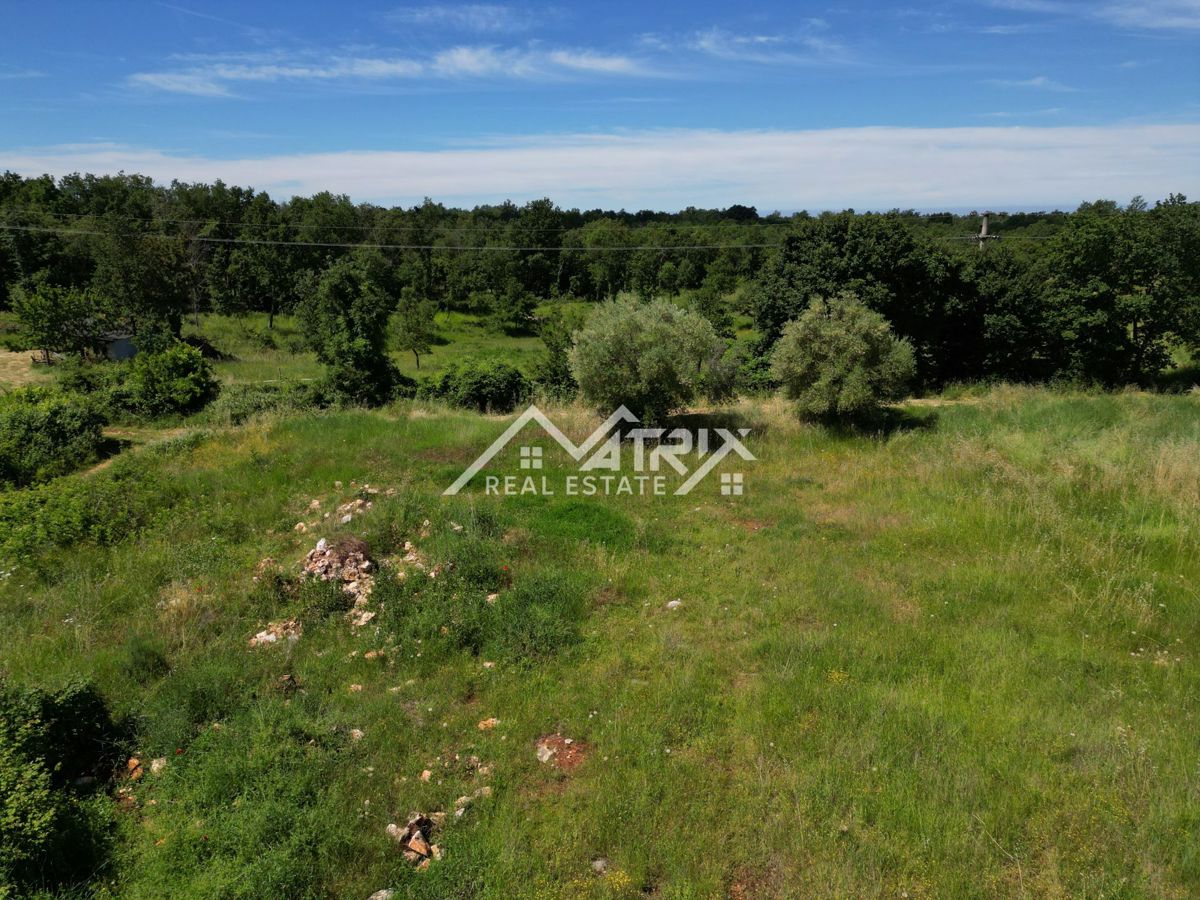 Poreč okolica, zazidljivo zemljišče v izmeri 692 m²