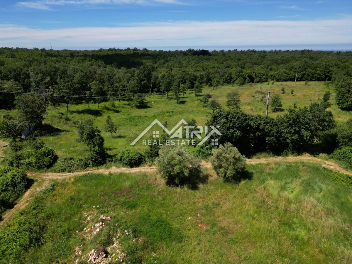 Poreč okolica, zazidljivo zemljišče v izmeri 692 m²