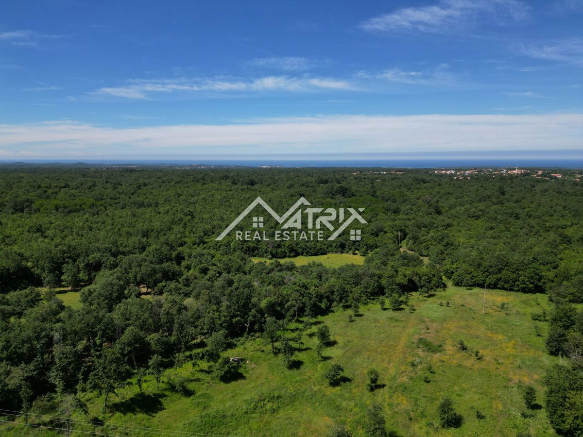 Poreč okolica, zazidljivo zemljišče v izmeri 692 m²