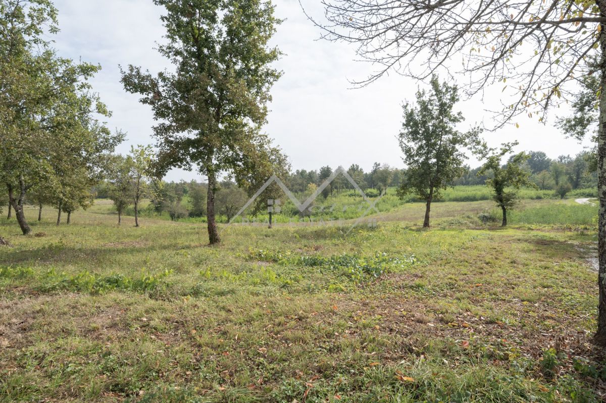 Zemljišče Poreč, 1.226m2